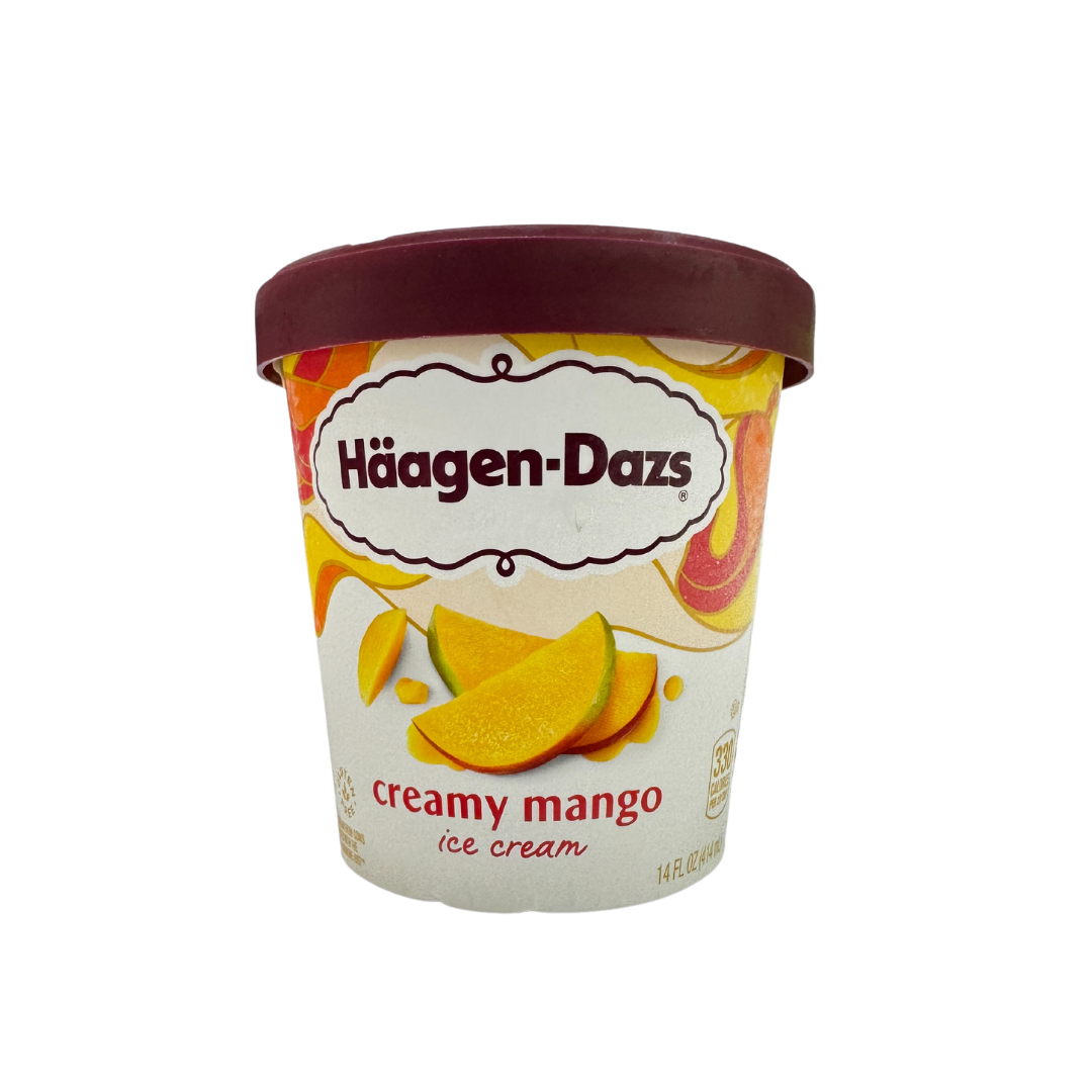 Haagen Dazs Ice Cream