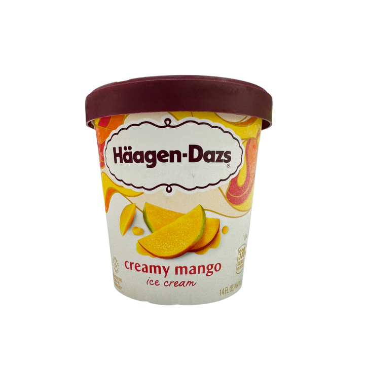 Haagen Dazs Ice Cream